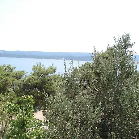 Mladina