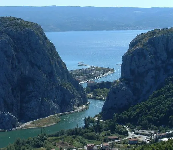 Mladina *